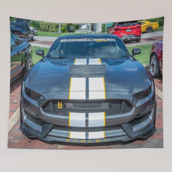 Item preview,  2016 Gray Ford Shelby Mustang GT350 X105 designed and sold by RichFrancoCars.