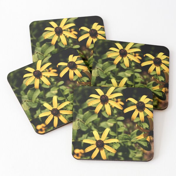 Item preview, Black Eyed Susan Flowers designed and sold by CalwynsCaptures.