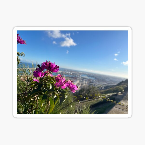Item preview, Blossoms Above Barcelona’s Skyline designed and sold by Angelina1129420.