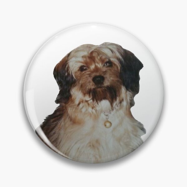 Item preview, Best friend, portrait of a dog, A small brown dog sitting down designed and sold by pipikijung.