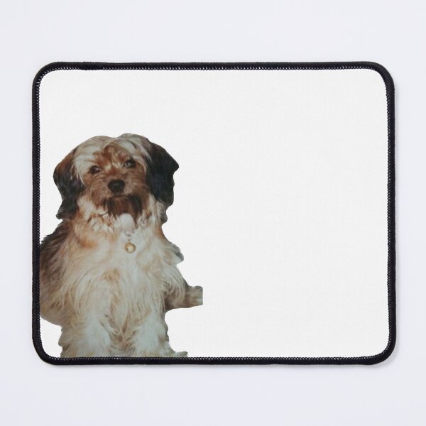 Item preview, Best friend, portrait of a dog, A small brown dog sitting down designed and sold by pipikijung.