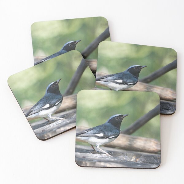 Item preview, Black-throated Blue Warbler designed and sold by EnglandEcology.