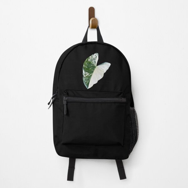 Item preview, Variegated Alocasia leaf designed and sold by Meo Design.