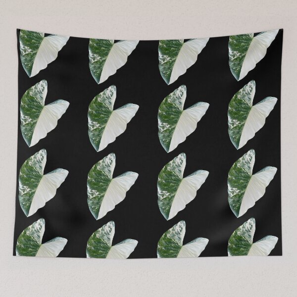 Item preview, Variegated Alocasia leaf designed and sold by Meo Design.