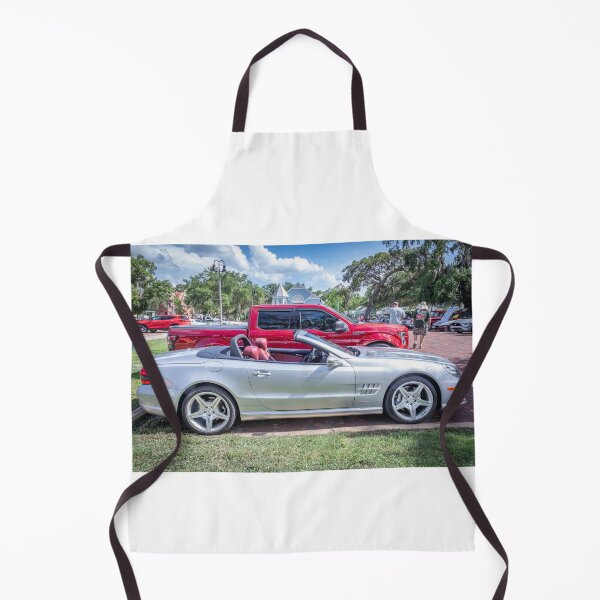 Item preview,  2009 Silver Mercedes Benz SL 550 Silver Arrow X105 designed and sold by RichFrancoCars.
