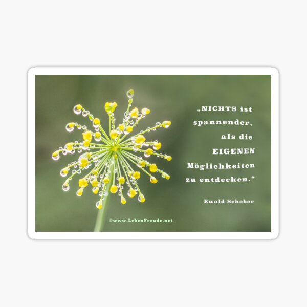 personality development Sticker