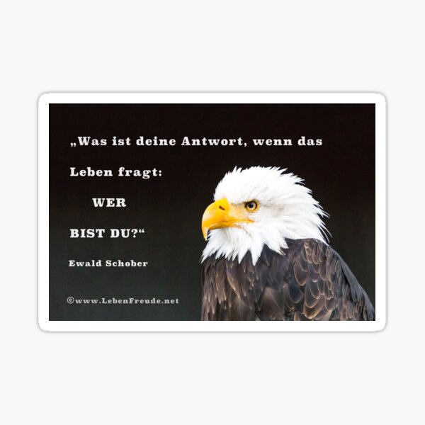 Item preview, Who are you? – Eagle vision & powerful quote designed and sold by Katja LebenFreude.