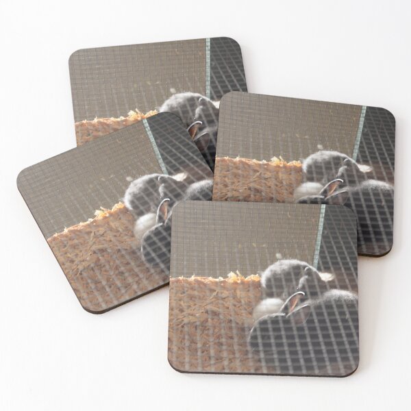 Item preview, bunnys designed and sold by Gold Notice.