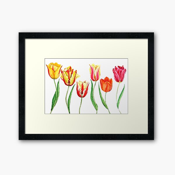colorful tulips flower watercolor painting Framed Art Print
