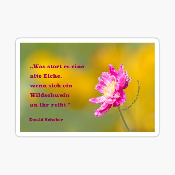 Serenity – Nature & Quote Sticker