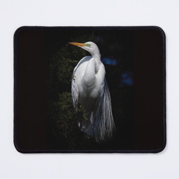 Item preview, Great egret in breeding plumage. designed and sold by Shannon Emmel .