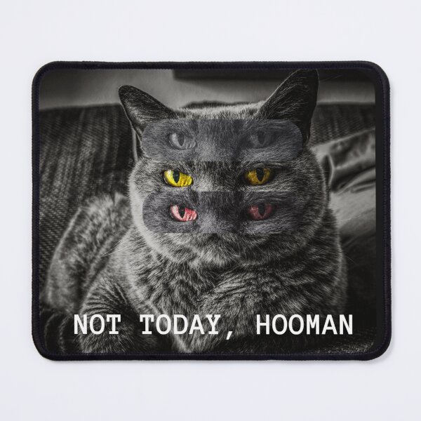 Item preview, Not today, hooman designed and sold by yac10.
