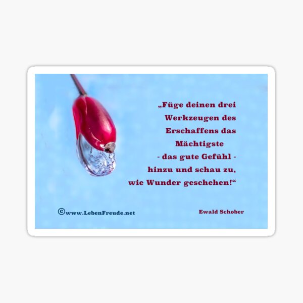 Create with feeling – Ice flower & miracle quote Sticker