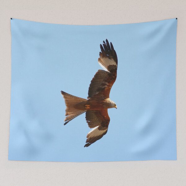 Item preview, Red Kite in flight designed and sold by MartinPhotos.