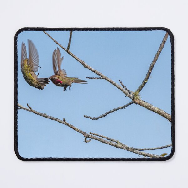 Item preview, Pair of Hummingbirds Fighting in Midair designed and sold by lisavonbiela.