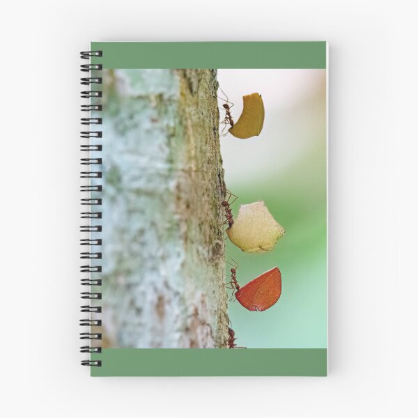 Item preview, Leaf-cutter ants designed and sold by Shannon Emmel .