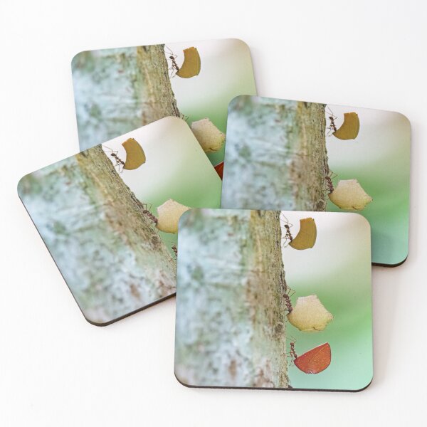 Item preview, Leaf-cutter ants designed and sold by Shannon Emmel .