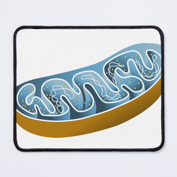 Item preview, Mitochondrion Diagram - The Powerhouse of the Cell designed and sold by Pixelaire.