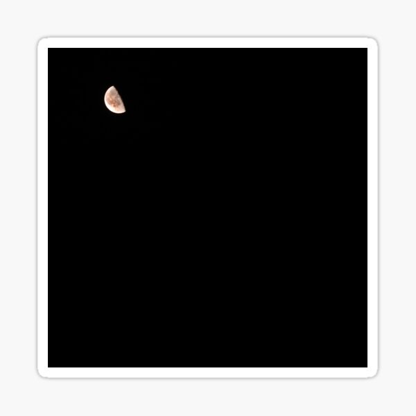 Michael Musclow - I’ve Been Trapped in Circles Sticker