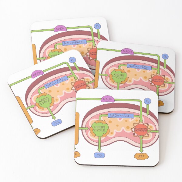 Item preview, Colorful Mitochondria Diagram – Educational Biology Wall Art designed and sold by Pixelaire.