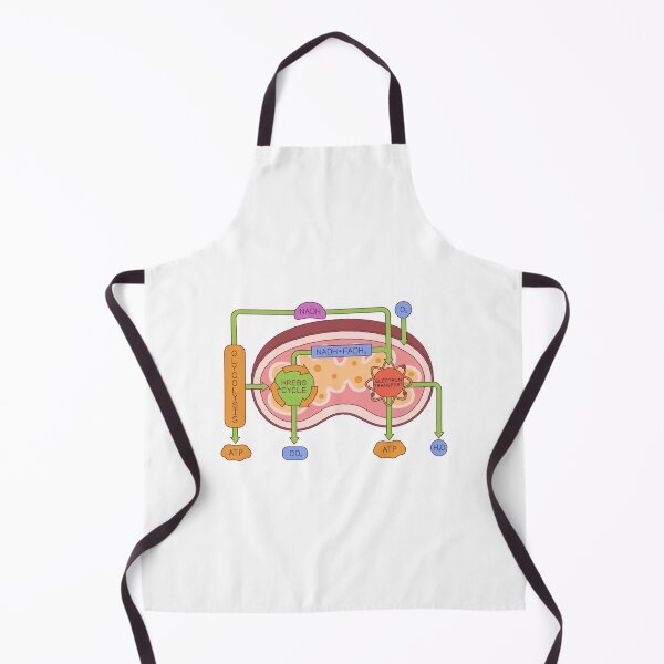 Item preview, Colorful Mitochondria Diagram – Educational Biology Wall Art designed and sold by Pixelaire.