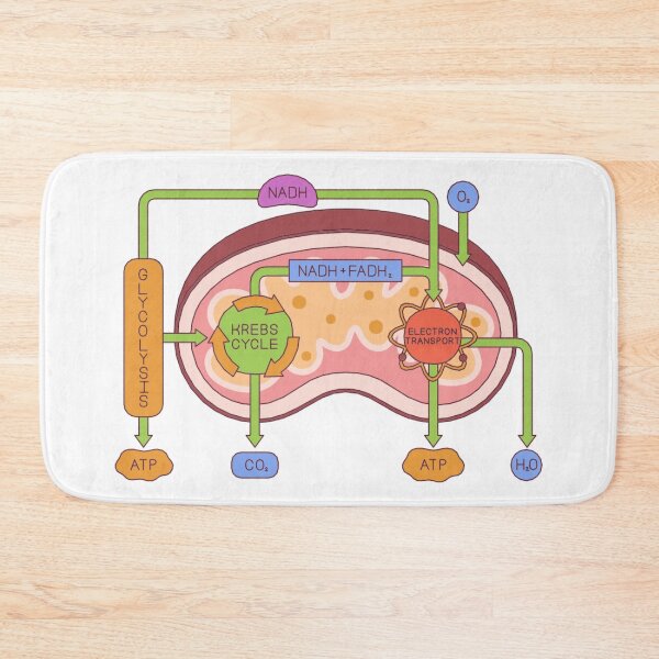 Artikelvorschau, Buntes Mitochondrien-Diagramm – Lehrreiche Biologie-Wandkunst entworfen und verkauft von Pixelaire.