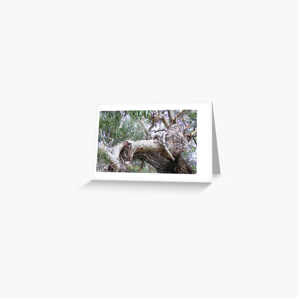 Item preview, bulls head in tree trunk designed and sold by Gaylene Norton.