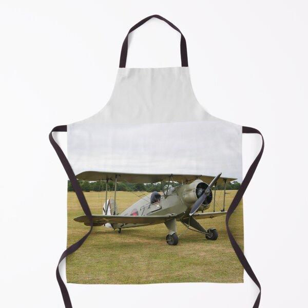 Item preview, Bucker Jungmeister 3523 at Old Warden designed and sold by MartinPhotos.