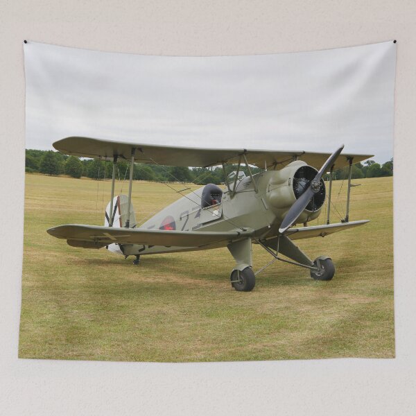 Item preview, Bucker Jungmeister 3523 at Old Warden designed and sold by MartinPhotos.