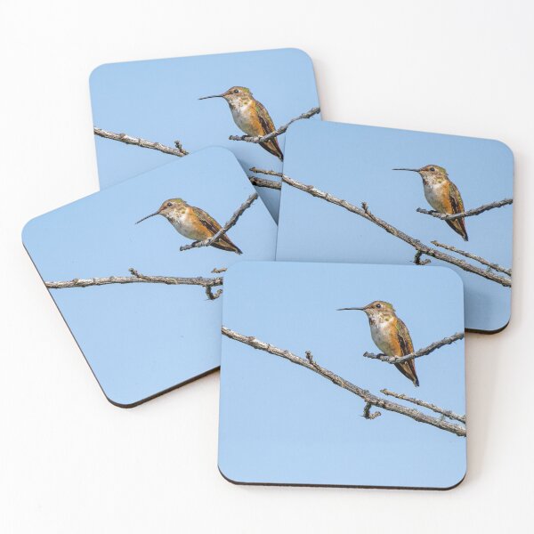 Item preview, Allen's Hummingbird perched on a branch designed and sold by lisavonbiela.