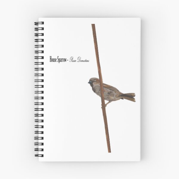 Item preview, Sparrow designed and sold by WilcockArtistry.