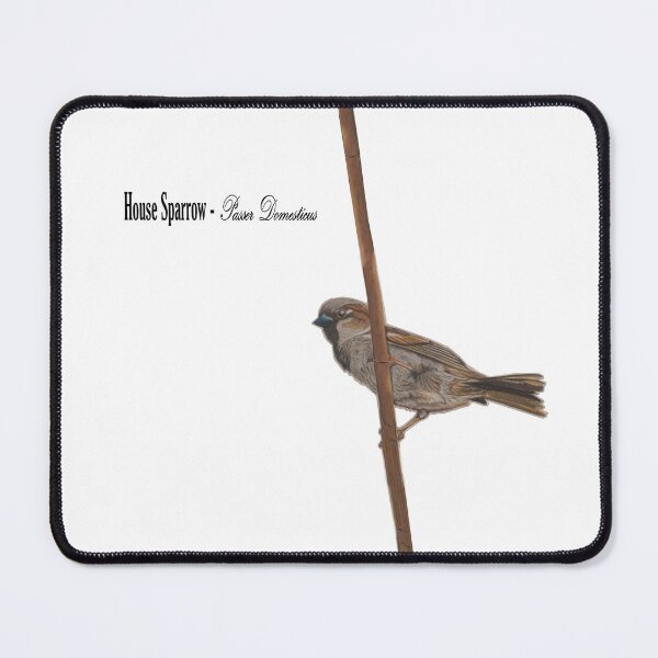 Item preview, Sparrow designed and sold by WilcockArtistry.