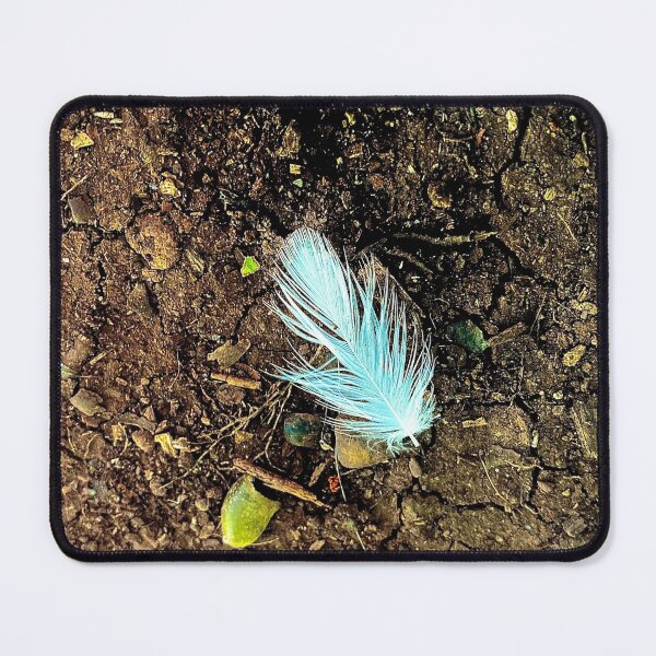 Item preview, White feather and hazelnuts designed and sold by PGKINART.