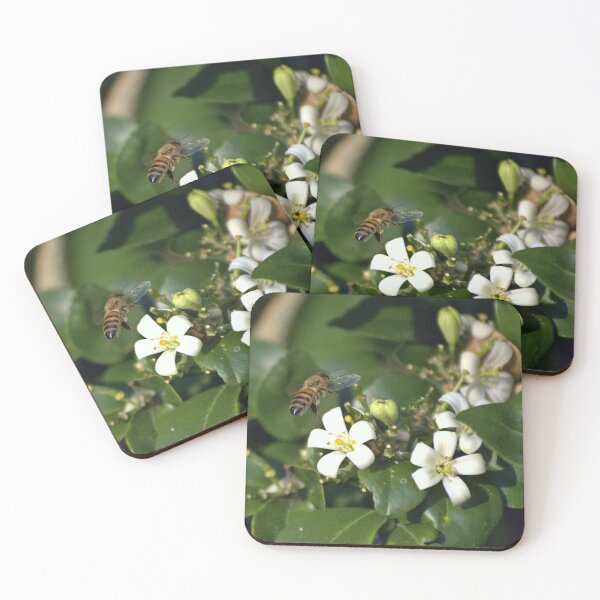 Item preview, Flying Honeybee  designed and sold by MercerImages.