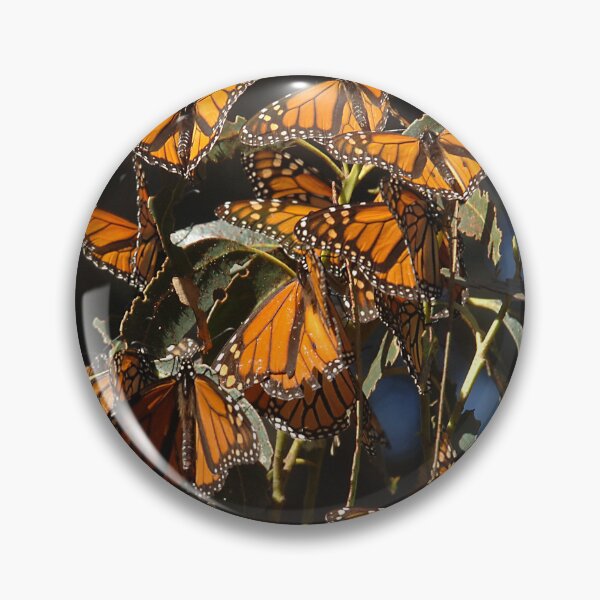 Item preview, Monarch Butterflies Art Photo designed and sold by DEC02.