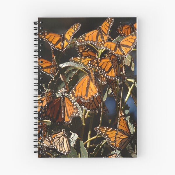 Item preview, Monarch Butterflies Art Photo designed and sold by DEC02.
