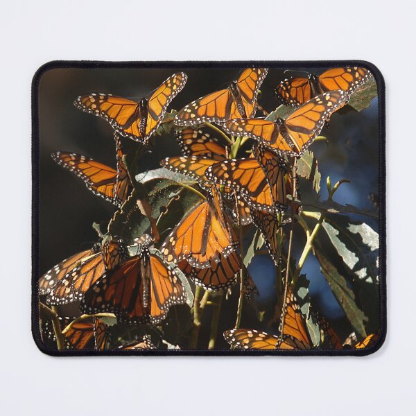 Item preview, Monarch Butterflies Art Photo designed and sold by DEC02.