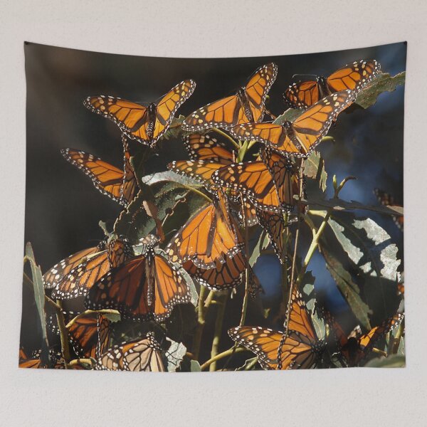 Item preview, Monarch Butterflies Art Photo designed and sold by DEC02.