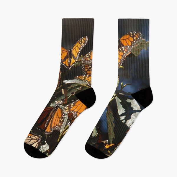 Item preview, Monarch Butterflies Art Photo designed and sold by DEC02.