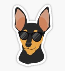 Cool Miniature Pinscher Sticker