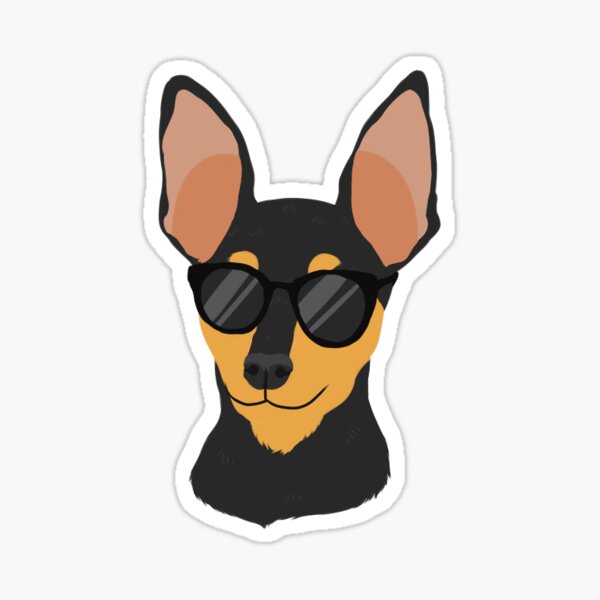 Miniature on sale pinscher stuff