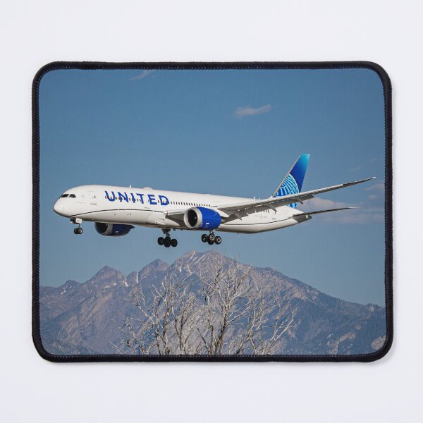Item preview, United Boeing 787-9 designed and sold by BinaryAviation.