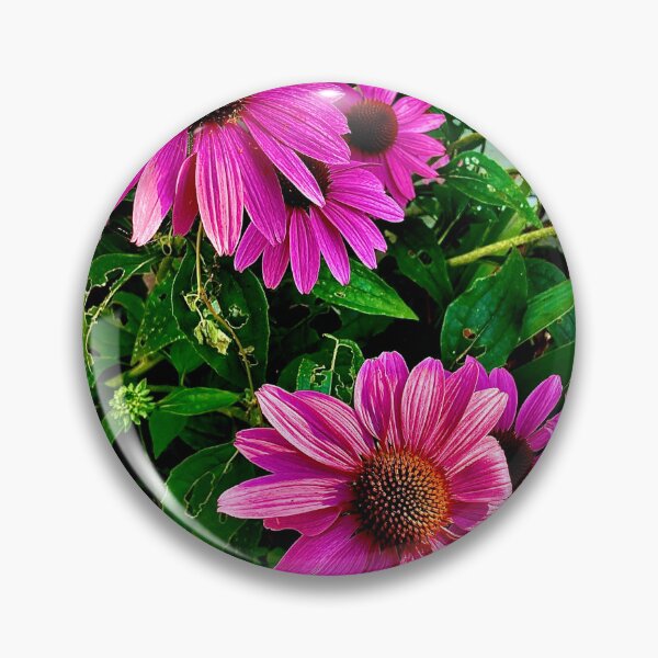 Item preview, Pink Rudbeckia flowers designed and sold by PGKINART.