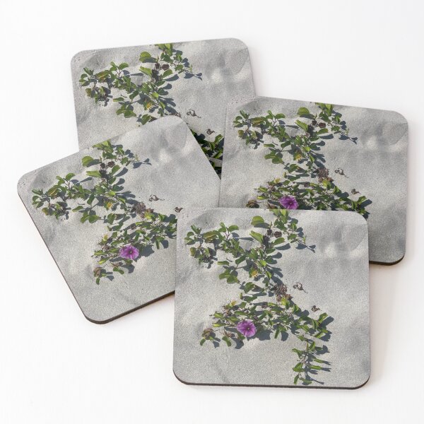 Item preview, Vero beach flowers  designed and sold by Lauracolleen3.