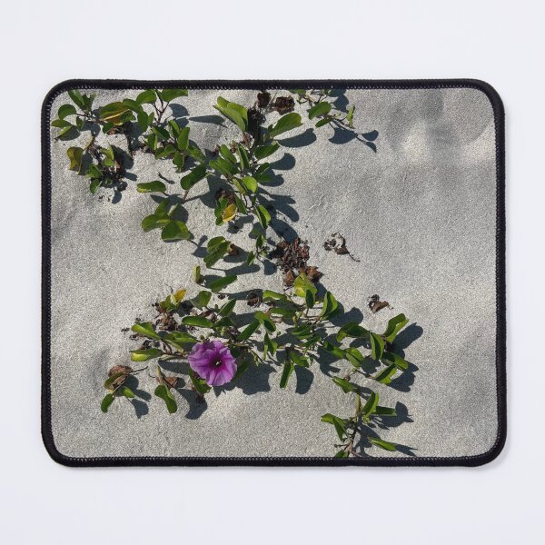 Item preview, Vero beach flowers designed and sold by Lauracolleen3.