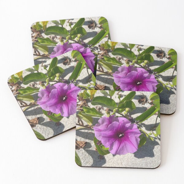 Item preview, Vero beach flowers  designed and sold by Lauracolleen3.