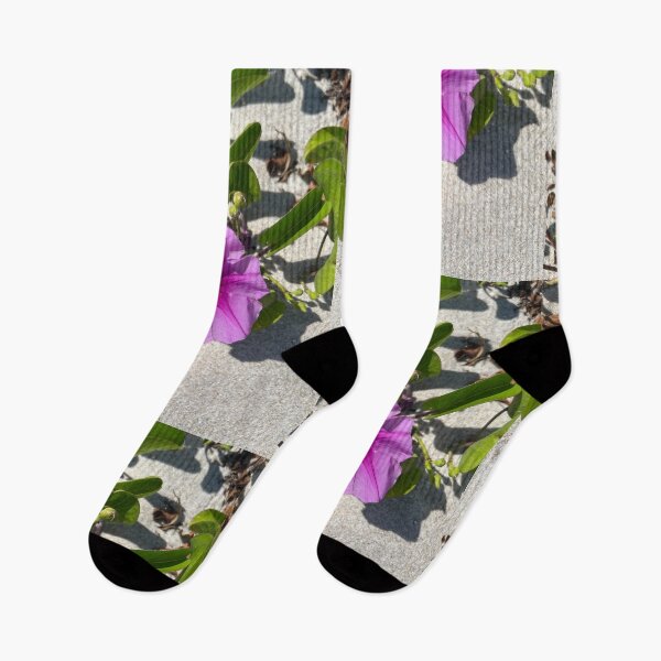 Item preview, Vero beach flowers  designed and sold by Lauracolleen3.