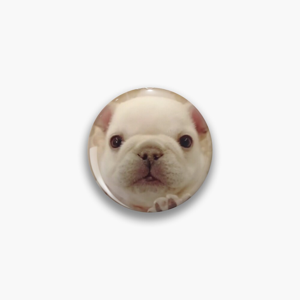 Pibble Pin