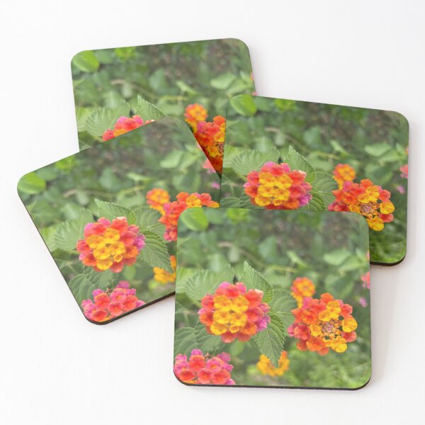 Item preview, Vero beach flowers  designed and sold by Lauracolleen3.
