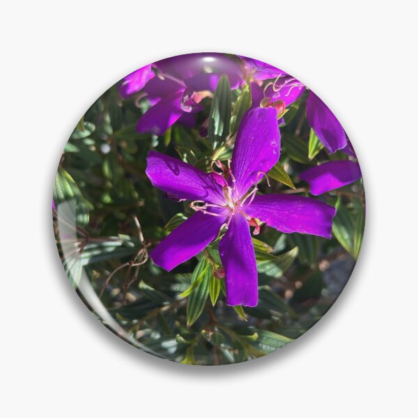 Item preview, Vero beach Florida  designed and sold by Lauracolleen3.